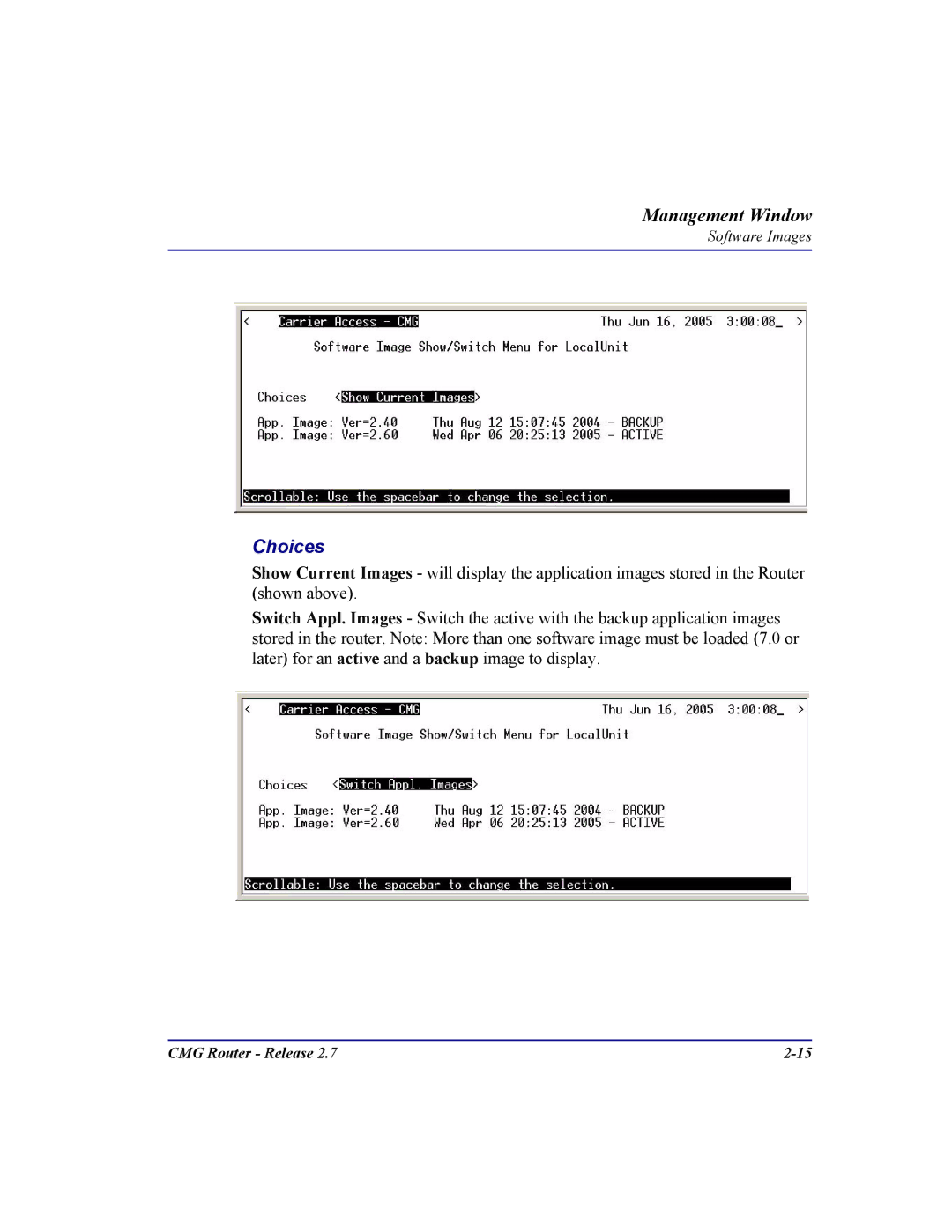 Carrier Access CMG Router user manual Choices 