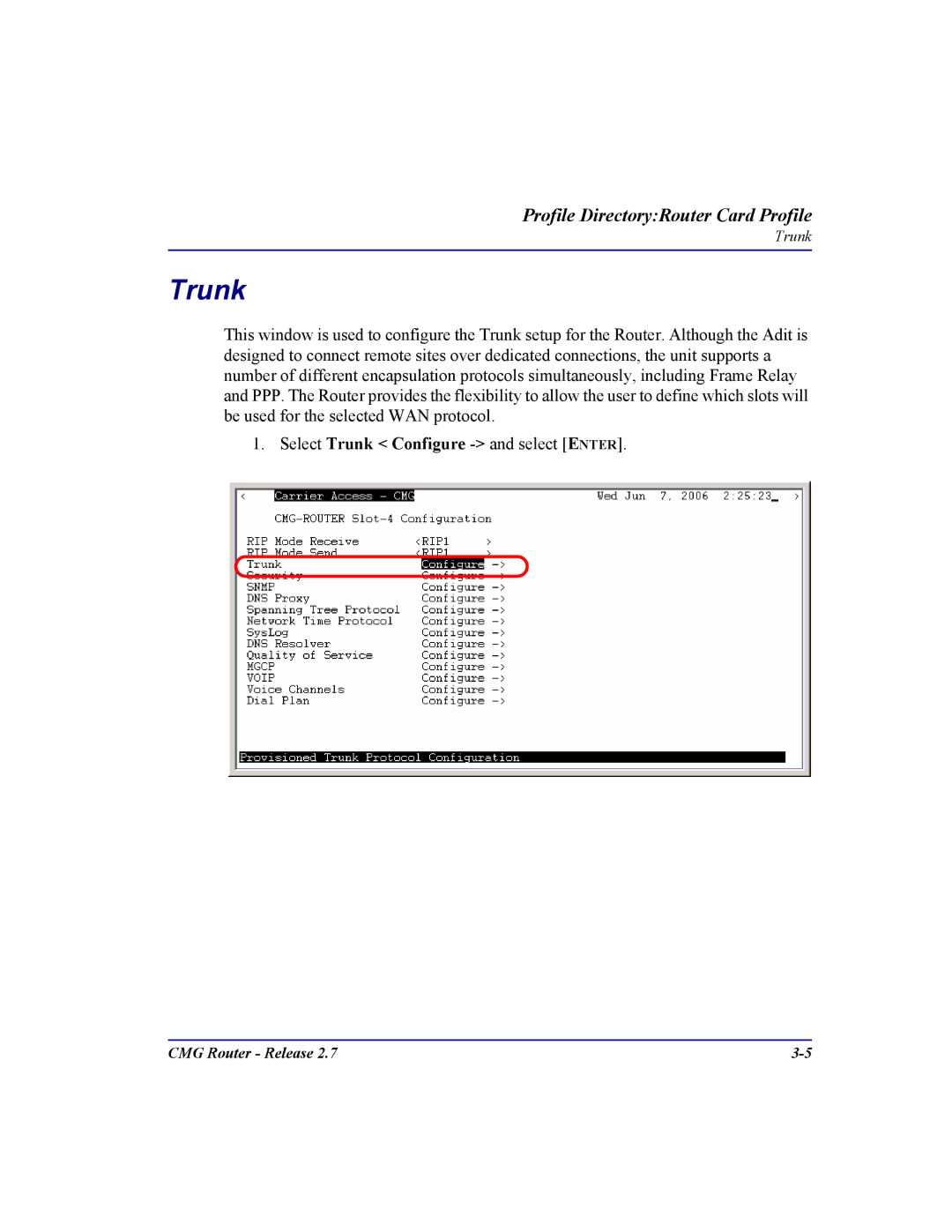 Carrier Access CMG Router user manual Trunk 