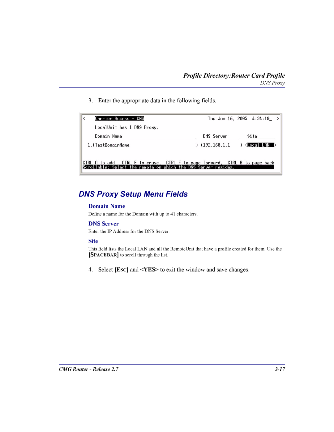 Carrier Access CMG Router user manual DNS Proxy Setup Menu Fields, Domain Name, DNS Server, Site 