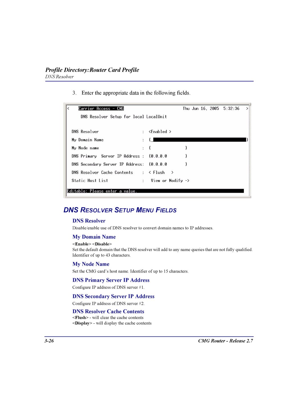 Carrier Access CMG Router user manual DNS Resolver, My Domain Name, My Node Name, DNS Primary Server IP Address 