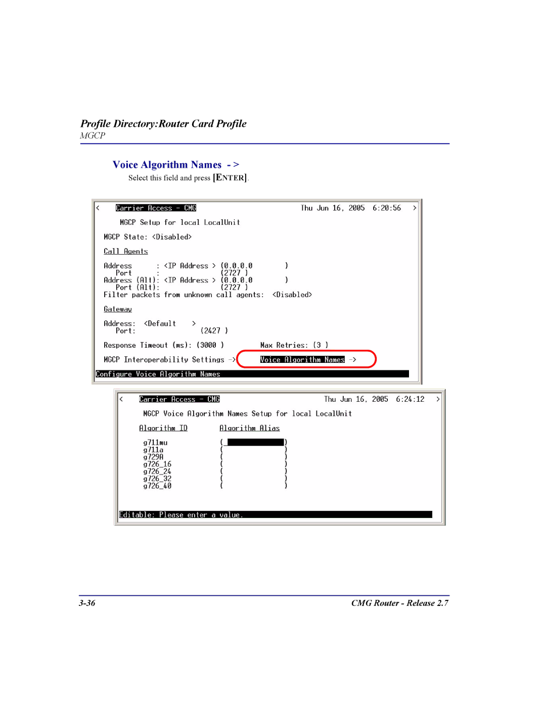 Carrier Access CMG Router user manual Voice Algorithm Names 