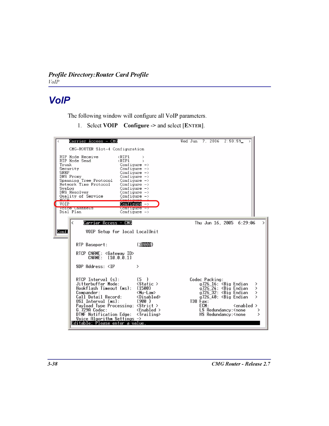 Carrier Access CMG Router user manual VoIP 