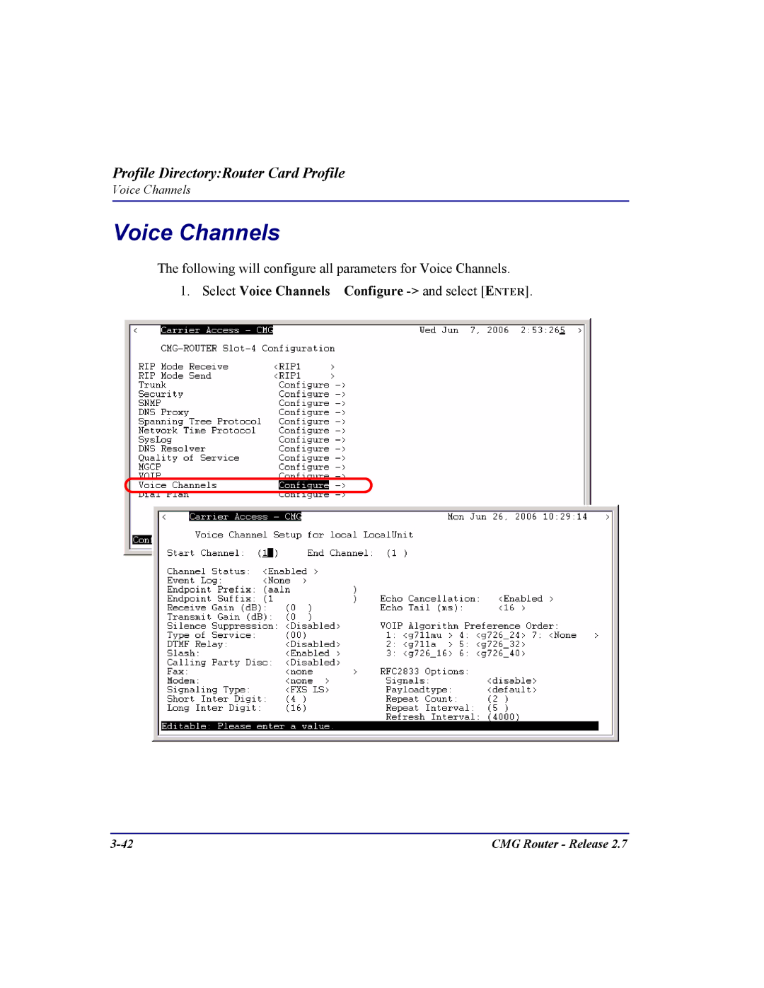 Carrier Access CMG Router user manual Select Voice Channels Configure and select Enter 