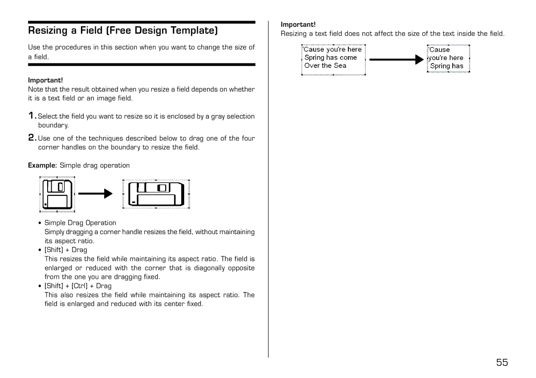 Casio LPCW-100 manual Resizing a Field Free Design Template 