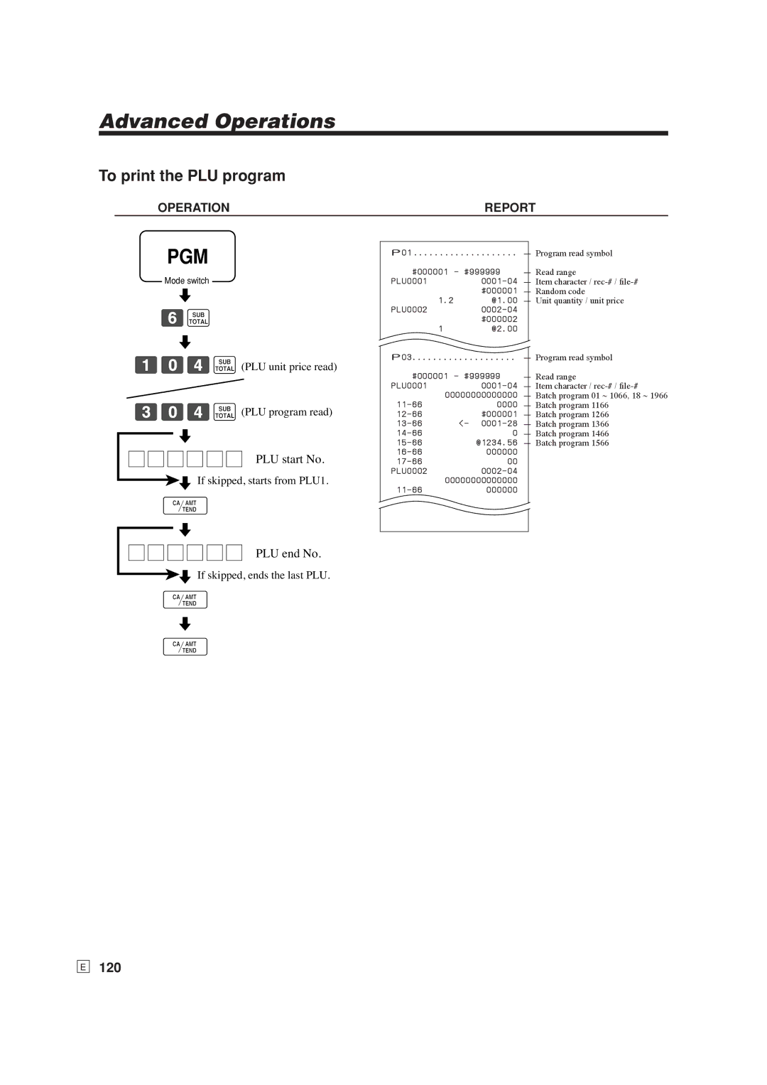 Casio SE-S6000, SE-C6000 user manual To print the PLU program, 120 