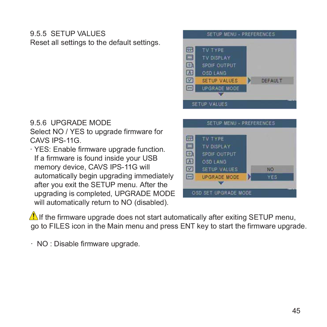 CAVS IPS-11G manual Setup Values 