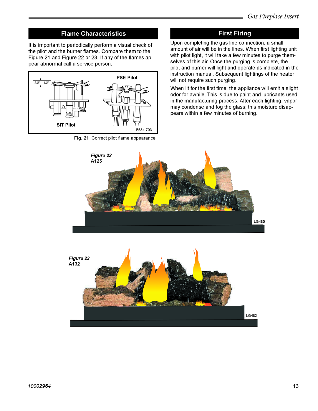 CFM Corporation A132 manual Flame Characteristics, First Firing, Gas Fireplace Insert, 10002964, PSE Pilot, SIT Pilot, A125 