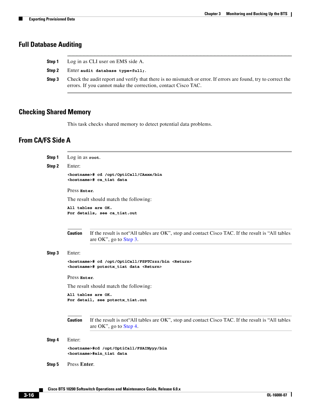 Cisco Systems 10200 manual Full Database Auditing, Checking Shared Memory, From CA/FS Side a 