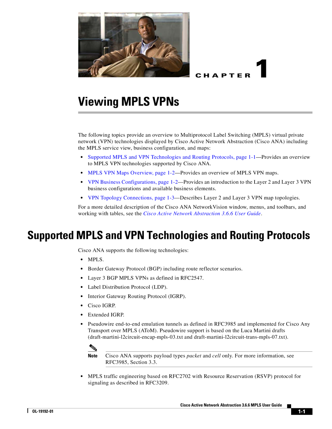 Cisco Systems 3.6.6 manual Viewing Mpls VPNs, Supported Mpls and VPN Technologies and Routing Protocols 