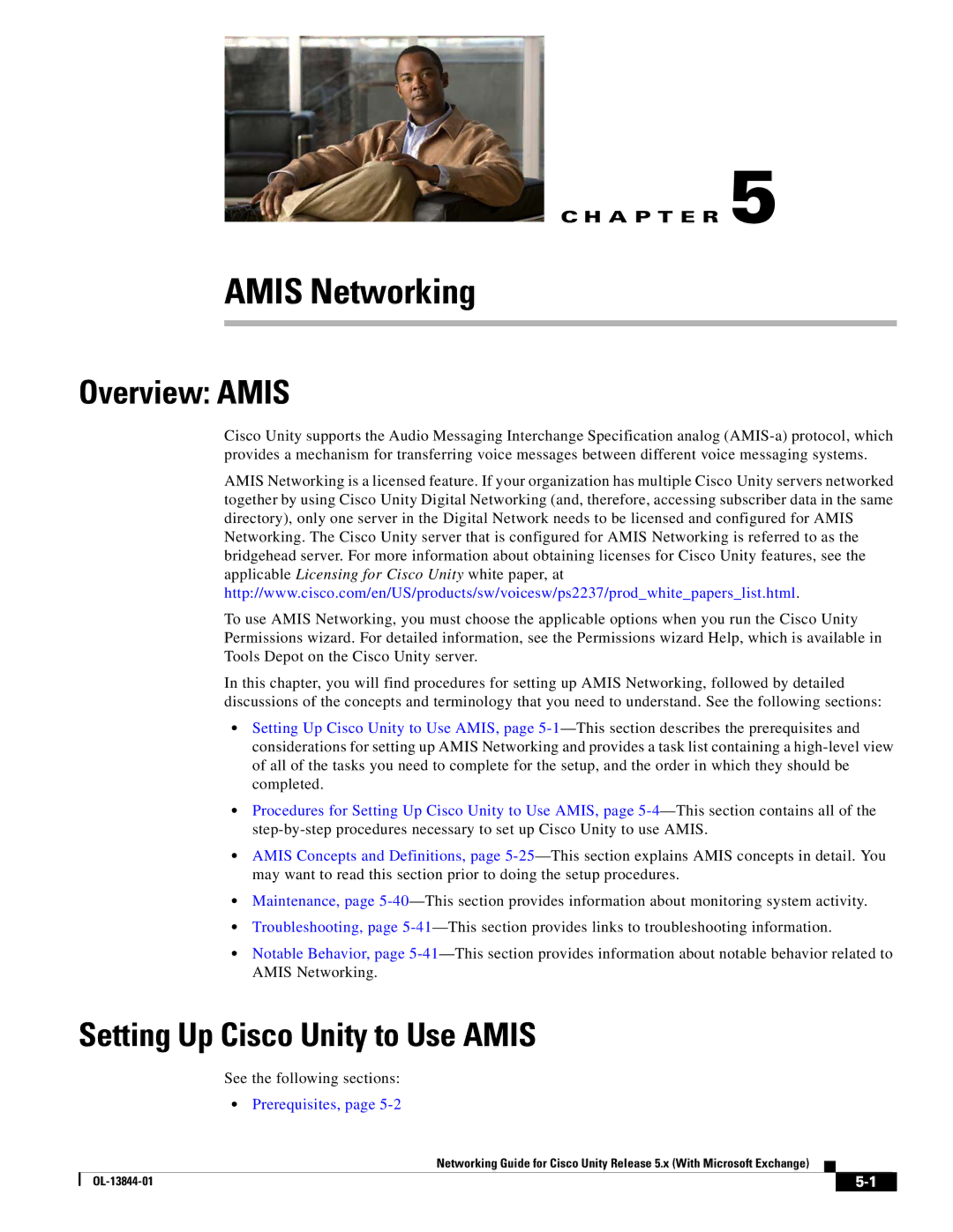 Cisco Systems 5.x manual Overview Amis, Setting Up Cisco Unity to Use Amis 