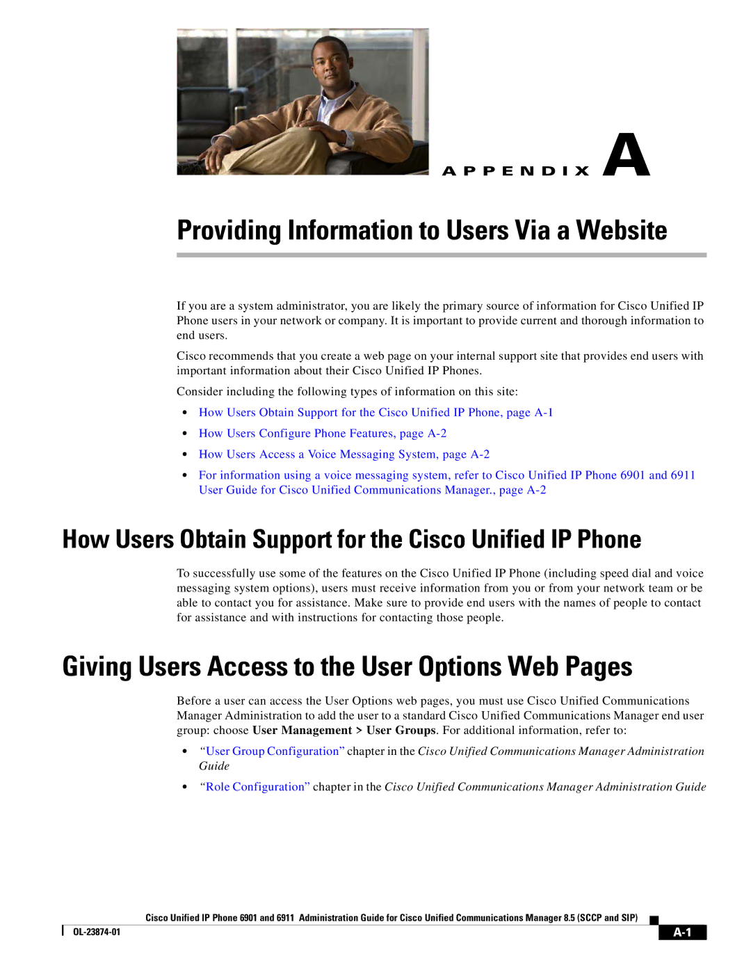 Cisco Systems 6901 manual Providing Information to Users Via a Website 