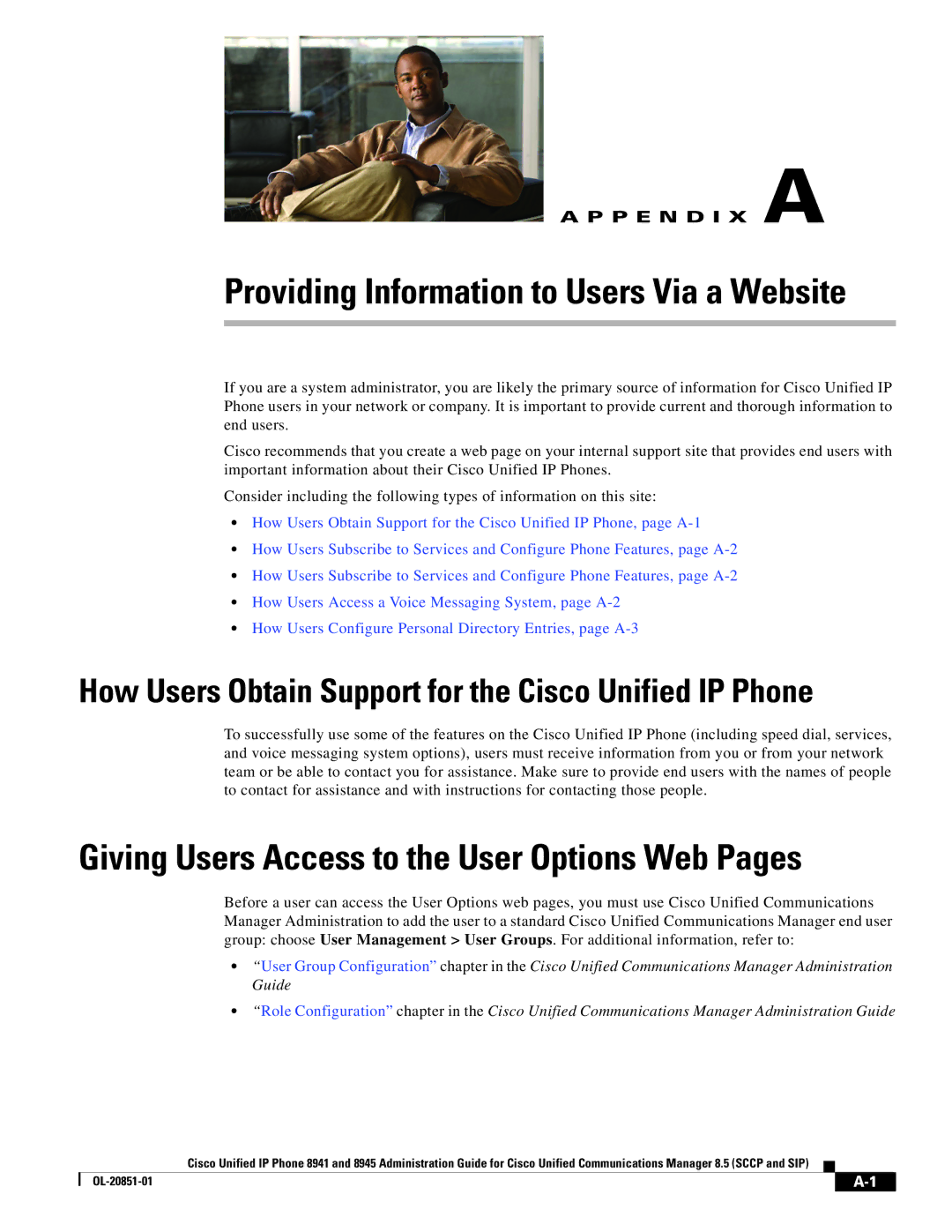 Cisco Systems 8945, 8941 manual Providing Information to Users Via a Website 