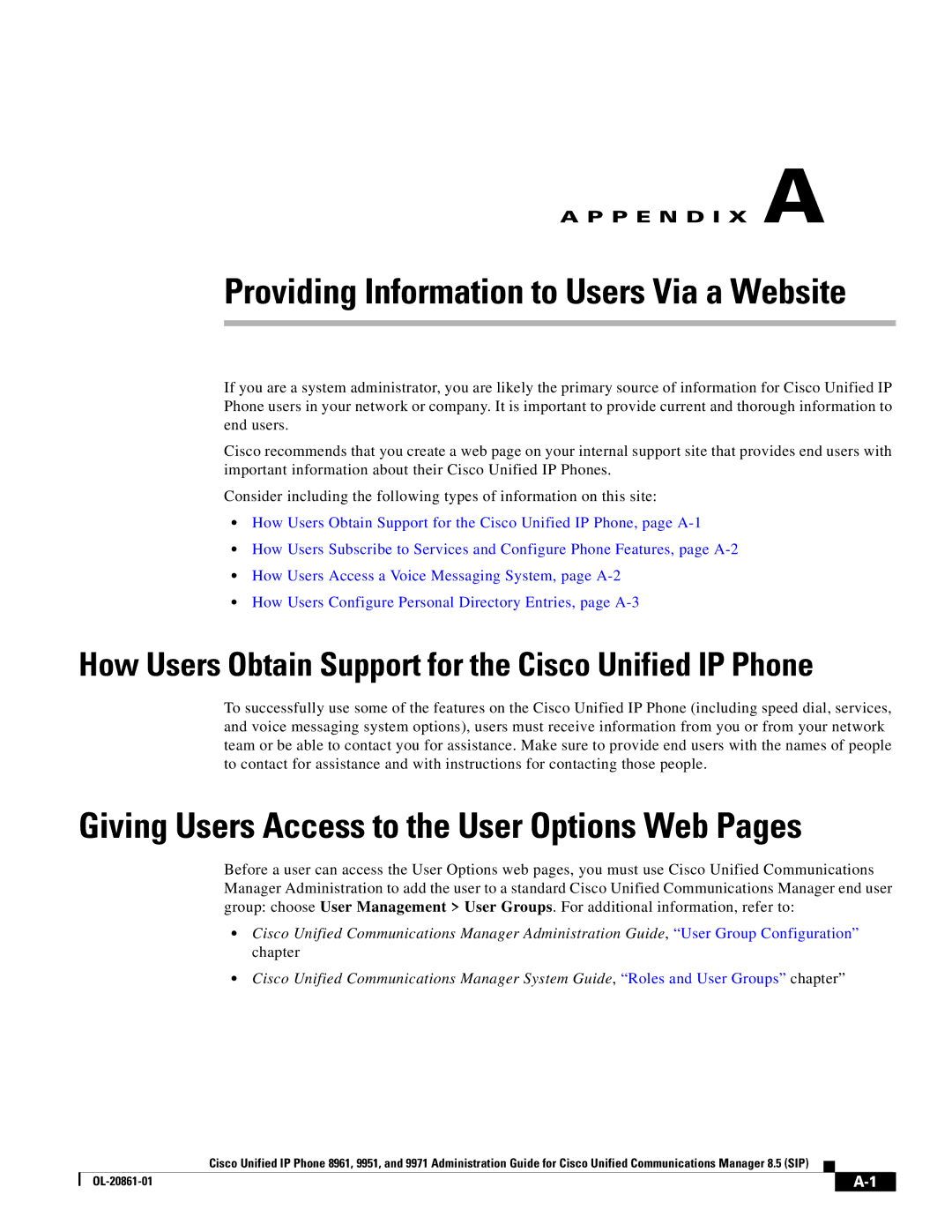 Cisco Systems 8961 manual Providing Information to Users Via a Website 