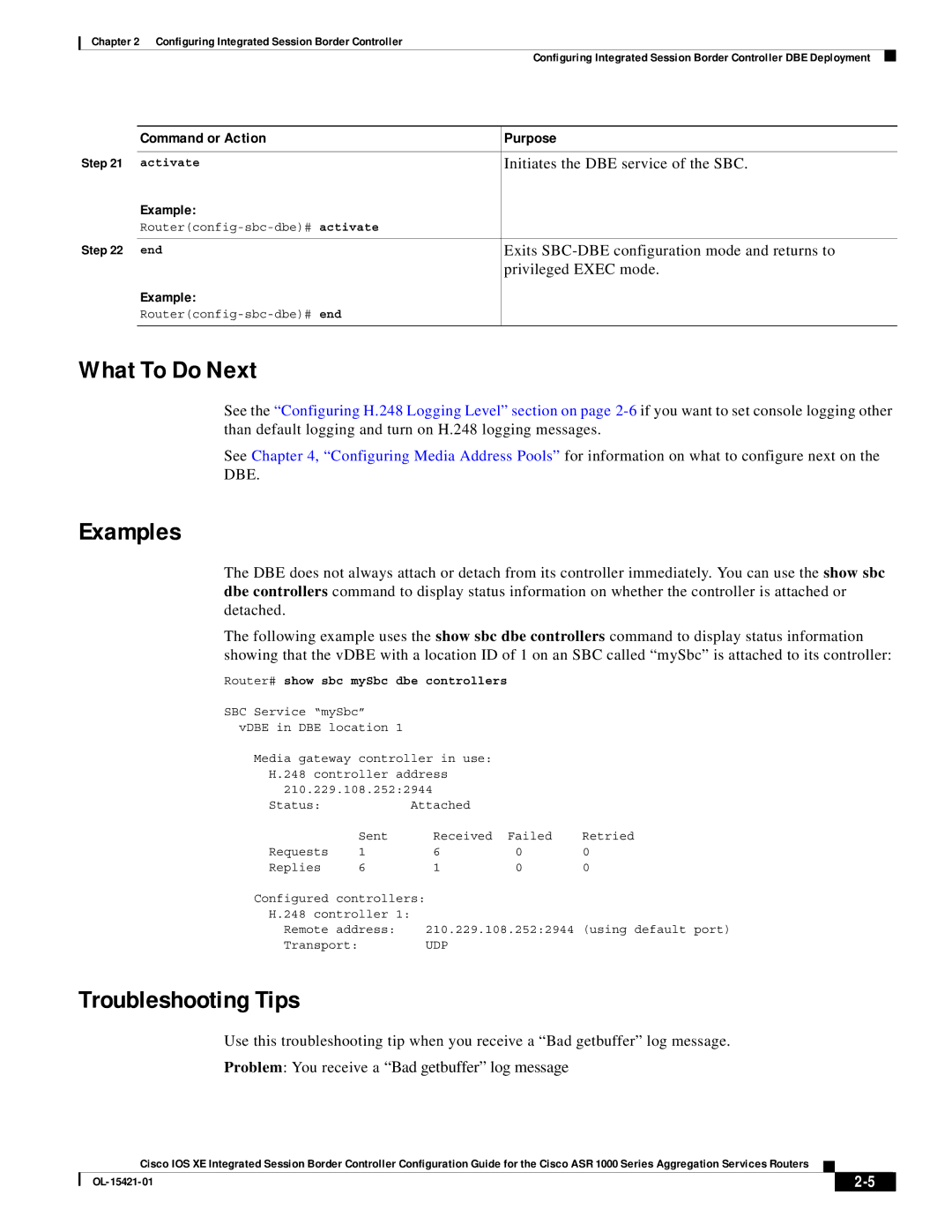 Cisco Systems ASR 1000 manual What To Do Next, Examples, Troubleshooting Tips 