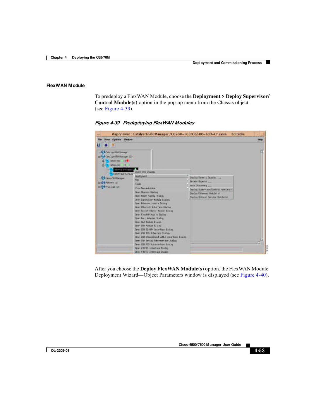 Cisco Systems 76M, C65 manual FlexWAN Module 