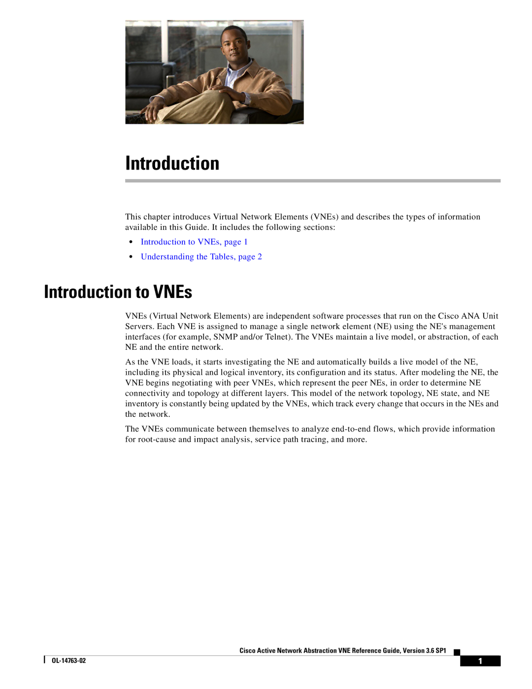 Cisco Systems OL-14763-02 manual Introduction to VNEs, Understanding the Tables 