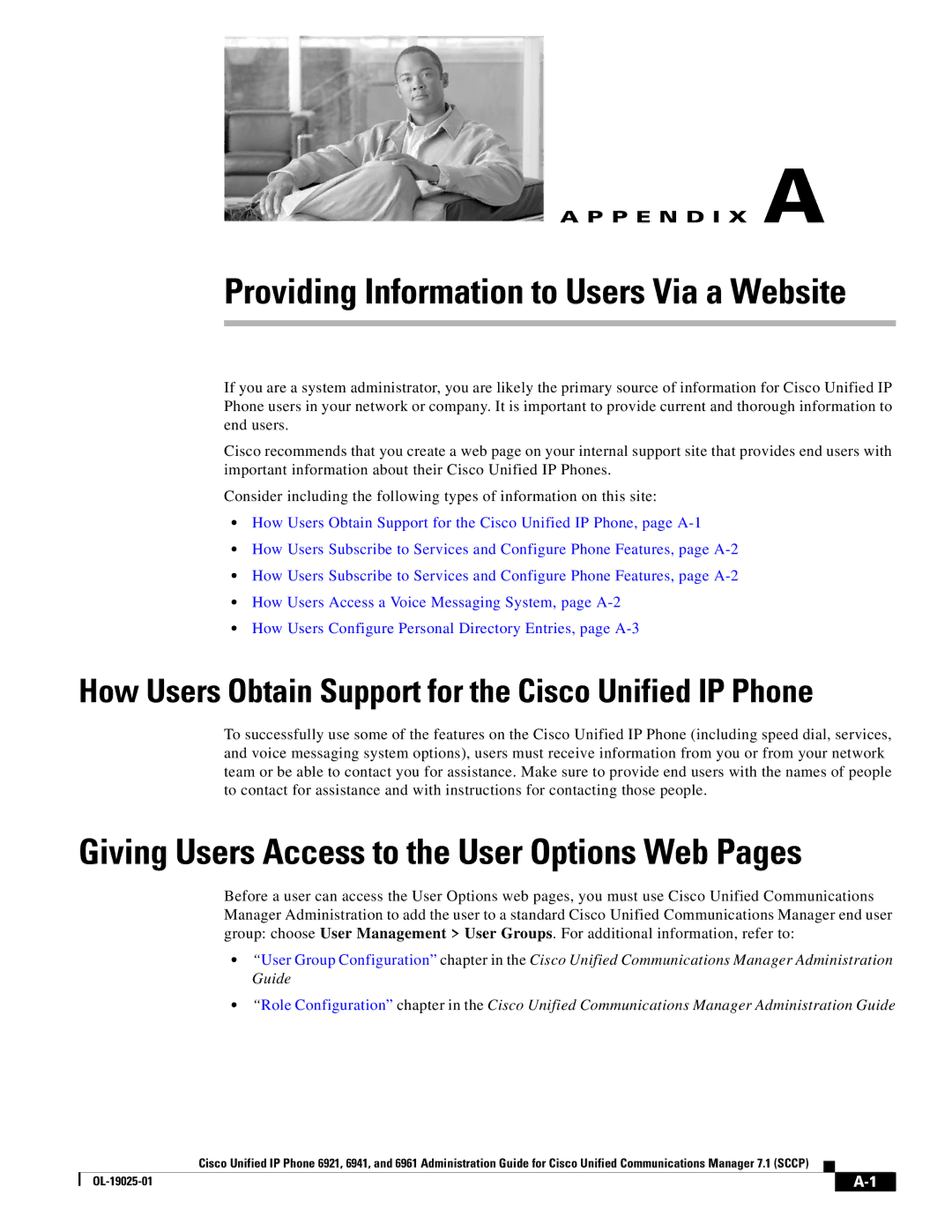 Cisco Systems OL-19025-01 manual Providing Information to Users Via a Website 