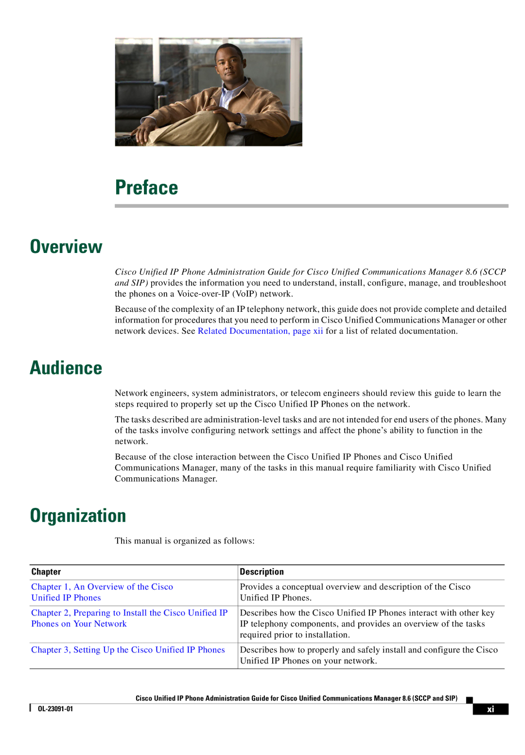 Cisco Systems OL-23091-01 manual Overview, Audience, Organization, Chapter Description 
