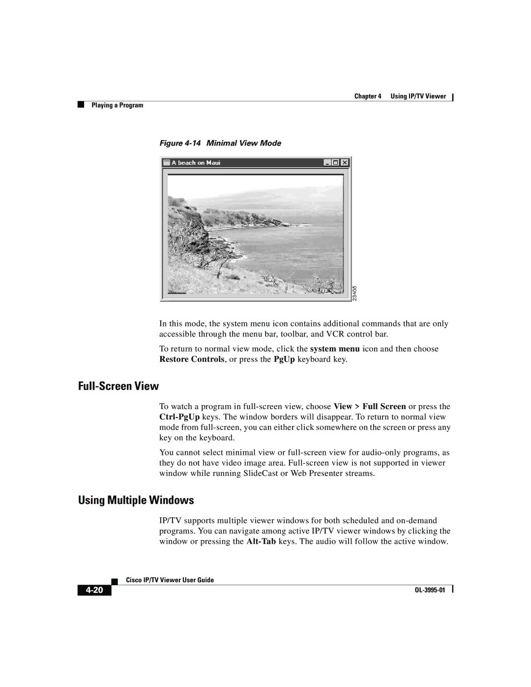 Cisco Systems OL-3995-01 manual Full-Screen View, Using Multiple Windows 