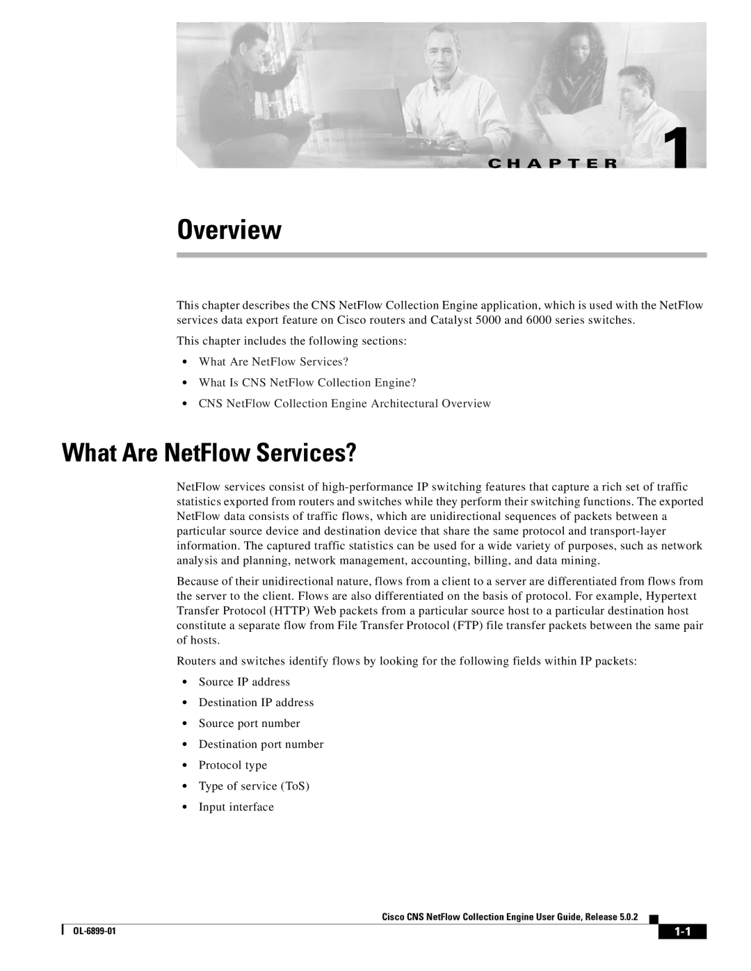 Cisco Systems OL-6900-01 manual Overview, What Are NetFlow Services? 