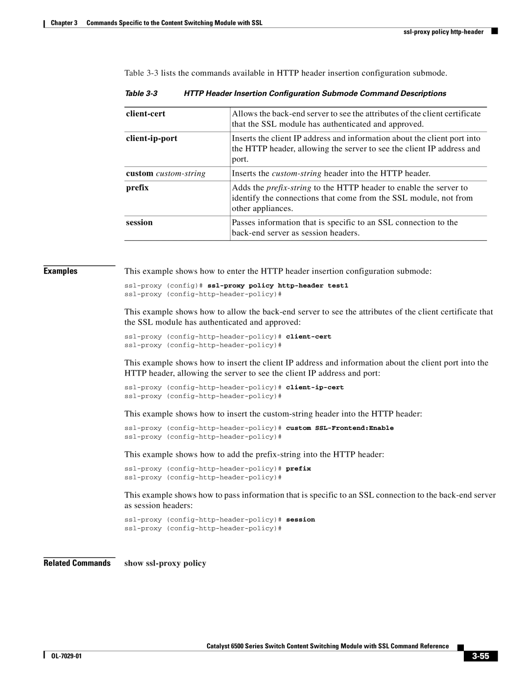 Cisco Systems OL-7029-01 manual Custom custom-string 