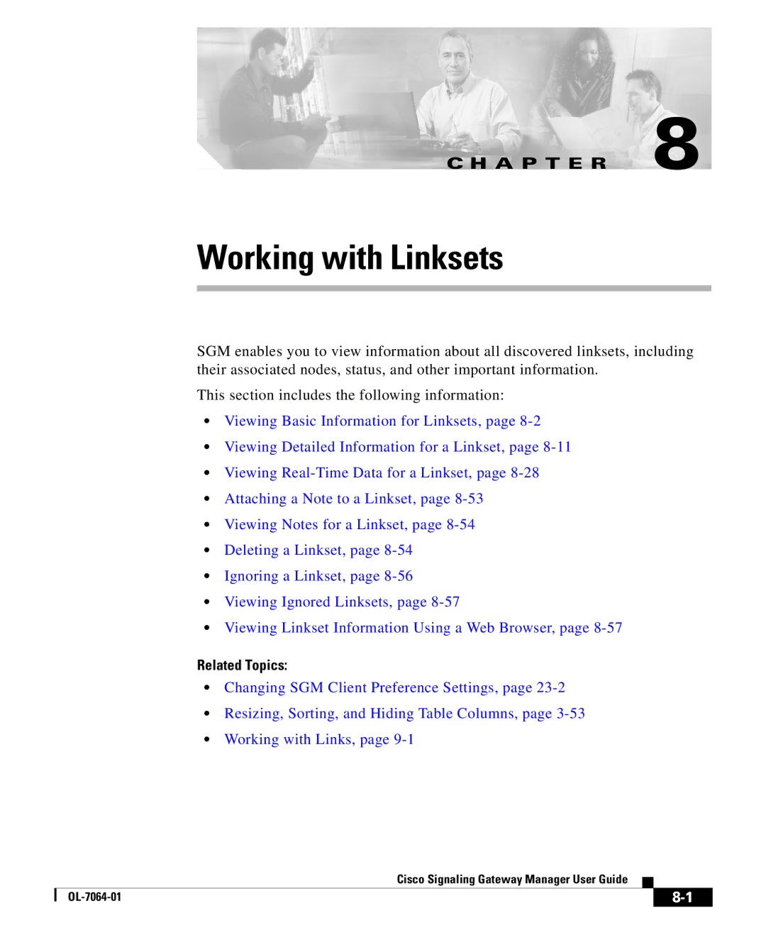 Cisco Systems OL-7064-01 manual Working with Linksets 