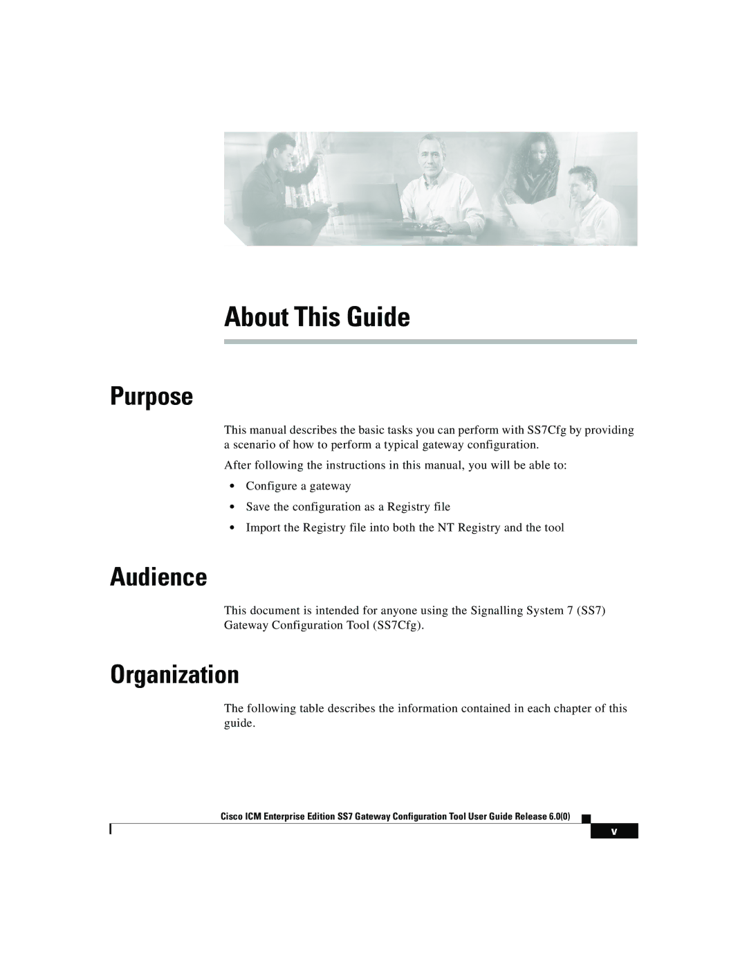 Cisco Systems SS7 manual Purpose, Audience, Organization 