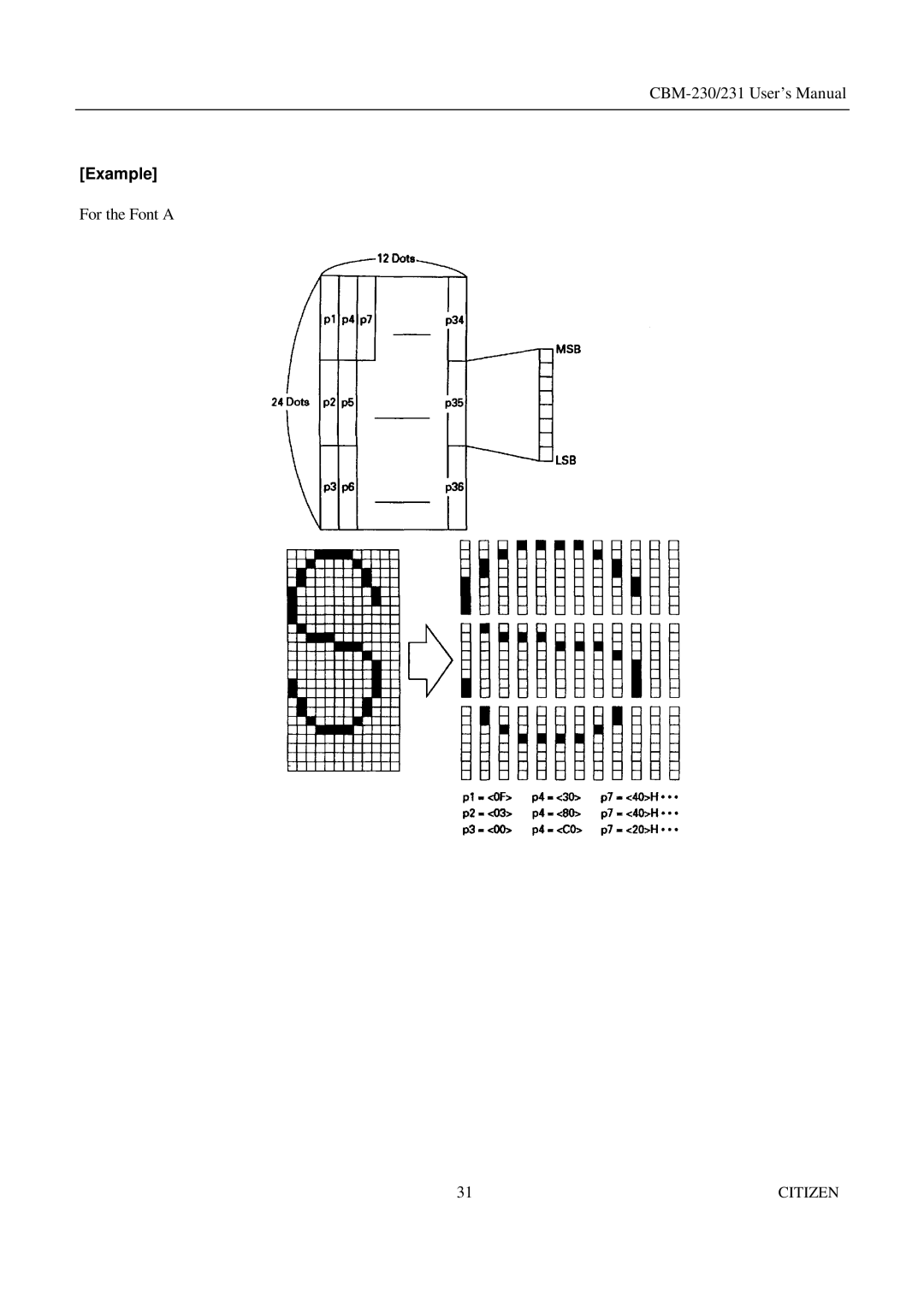 Citizen Systems CBM-231 manual Example 