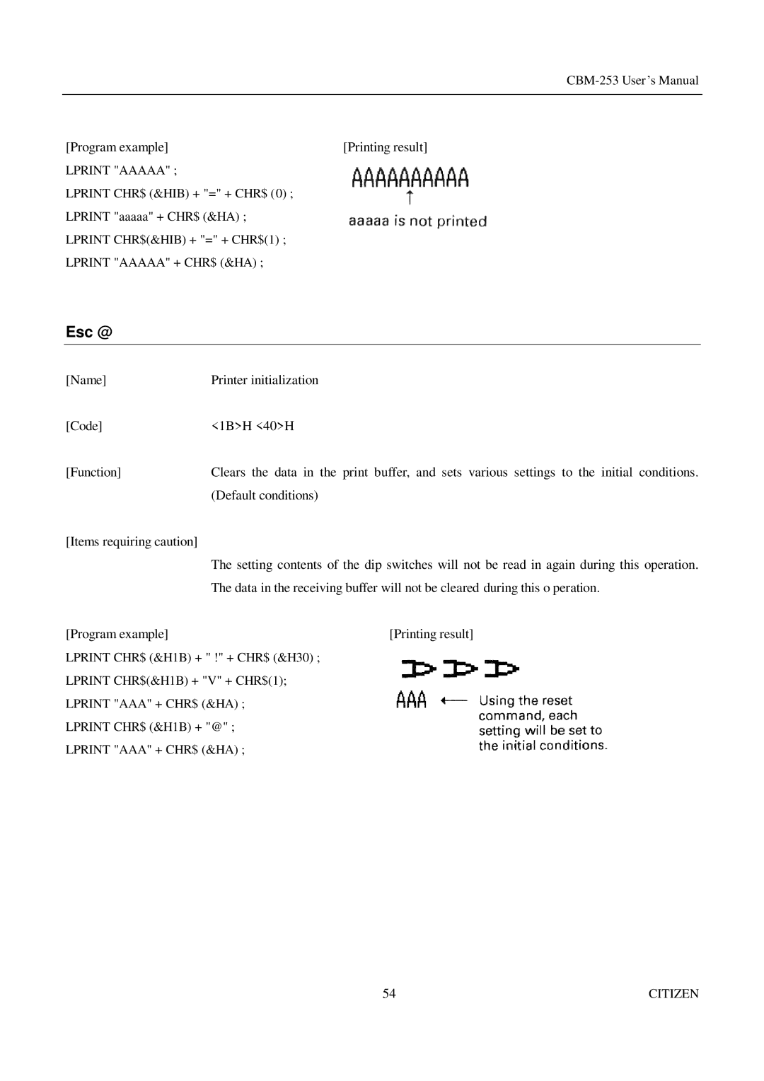 Citizen Systems CBM-253 manual Esc @ 