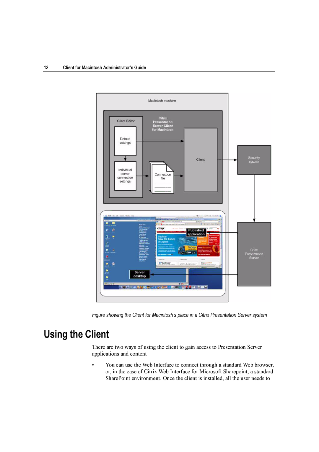 Citrix Systems 10 manual Using the Client 