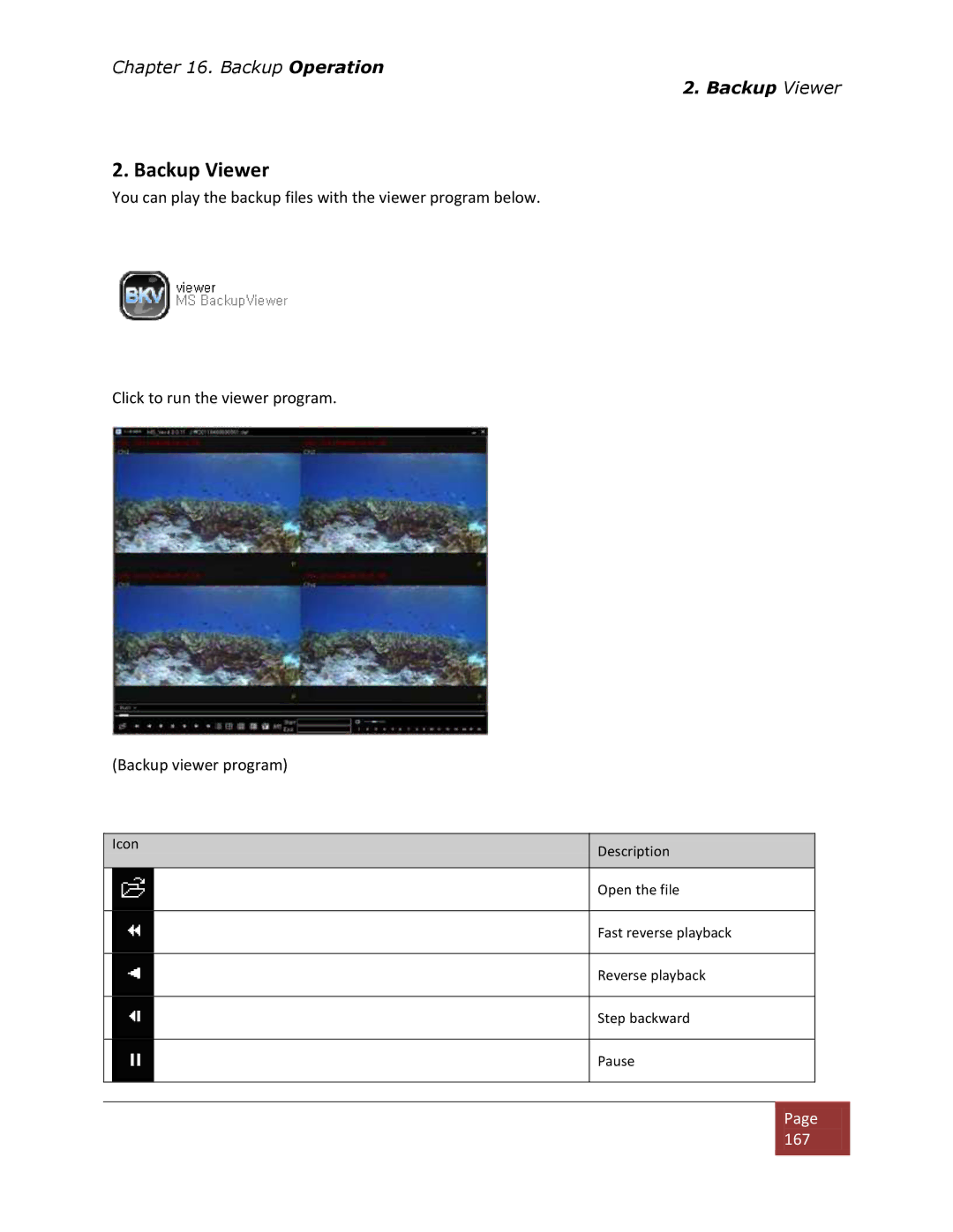 Clover Electronics DV1670D instruction manual Backup Viewer 