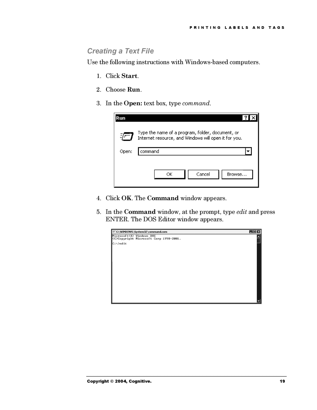 Cognitive Solutions Advantage RFID Thermal Printer manual Creating a Text File 