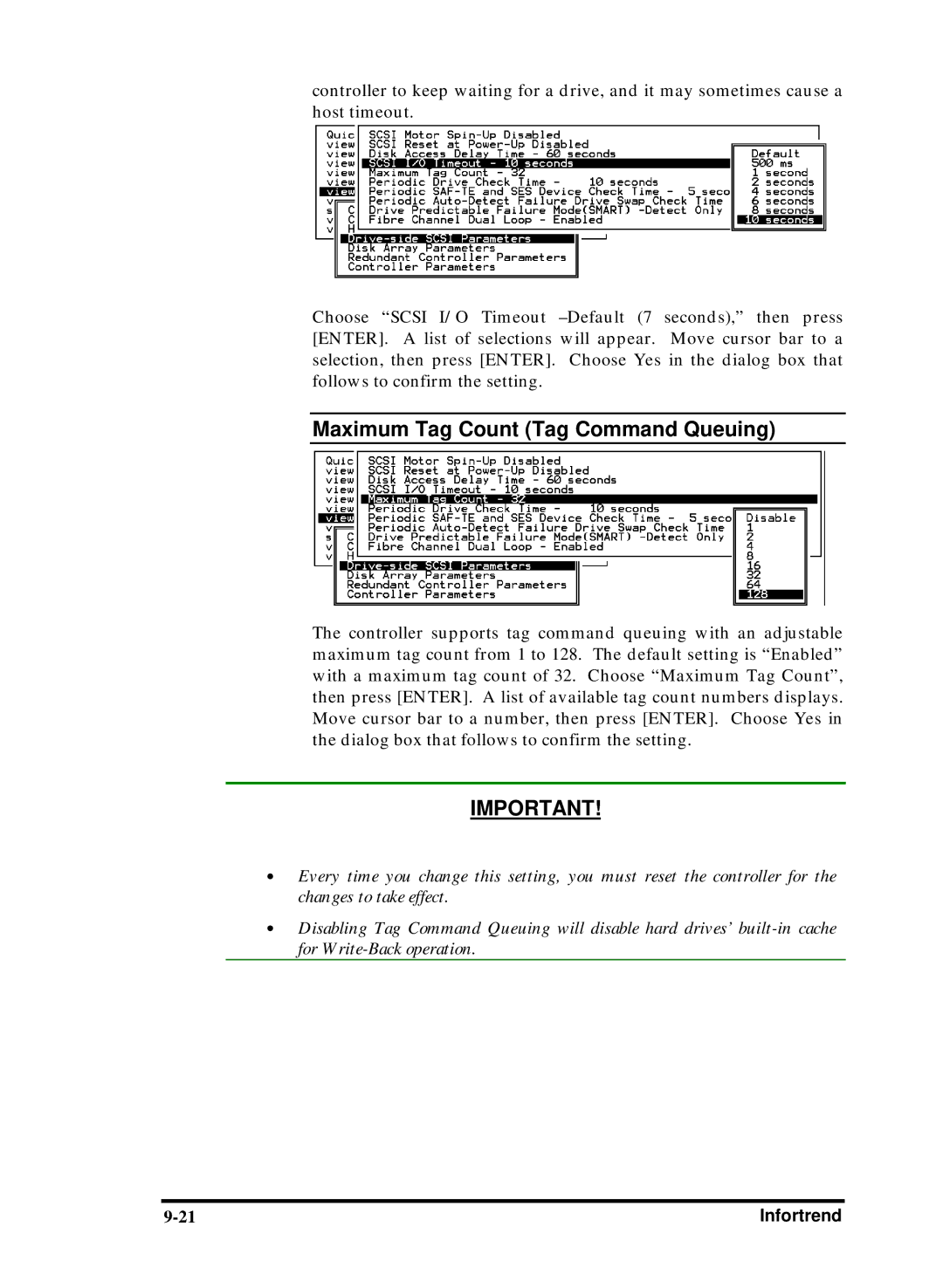 Compaq Infortrend manual Maximum Tag Count Tag Command Queuing 