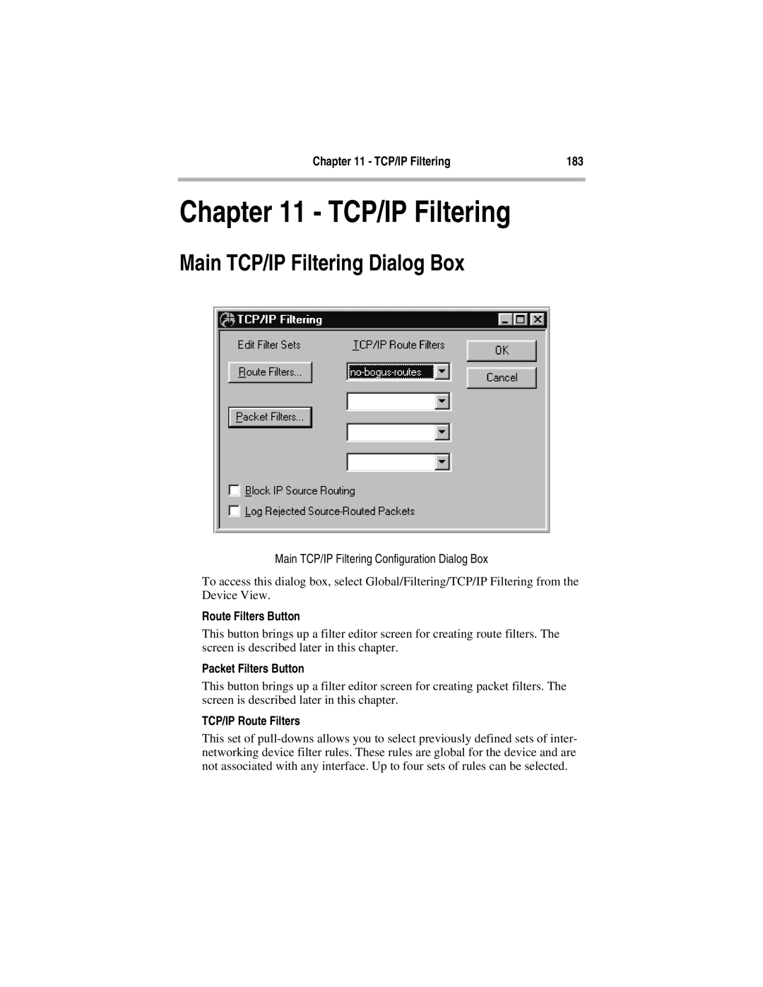 Compatible Systems 5.4 Main TCP/IP Filtering Dialog Box, TCP/IP Filtering 183, Route Filters Button, Packet Filters Button 