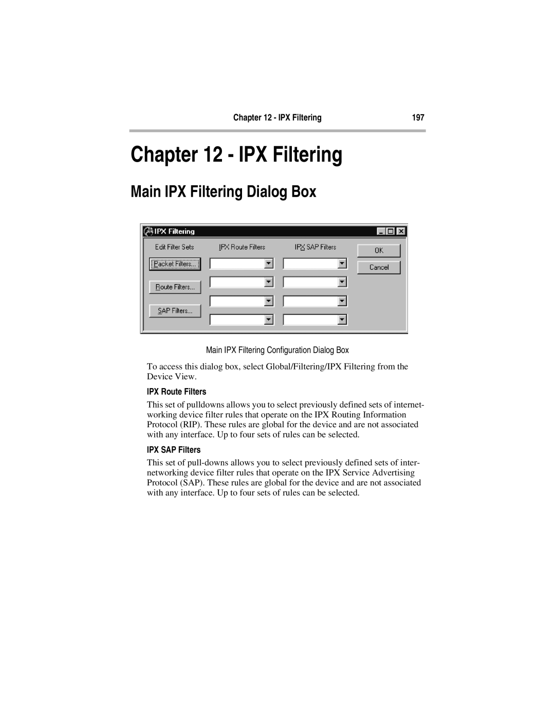 Compatible Systems 5.4 manual Main IPX Filtering Dialog Box, IPX Filtering 197, Main IPX Filtering Configuration Dialog Box 