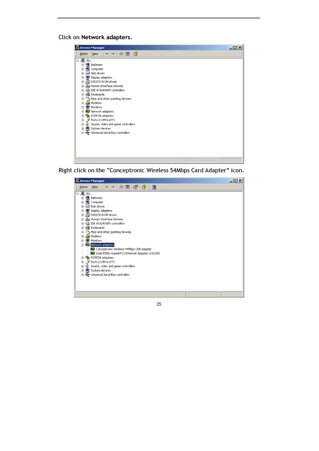 Conceptronic Conceptronic Wireless 54Mbps USB Stick Adapter, C54U manual Click on Network adapters 