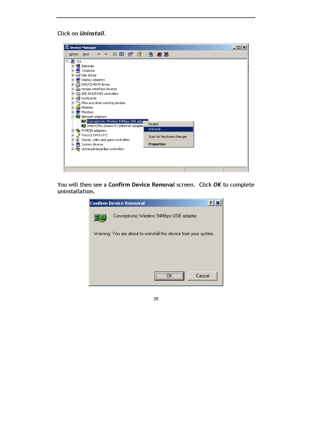 Conceptronic C54U, Conceptronic Wireless 54Mbps USB Stick Adapter manual 