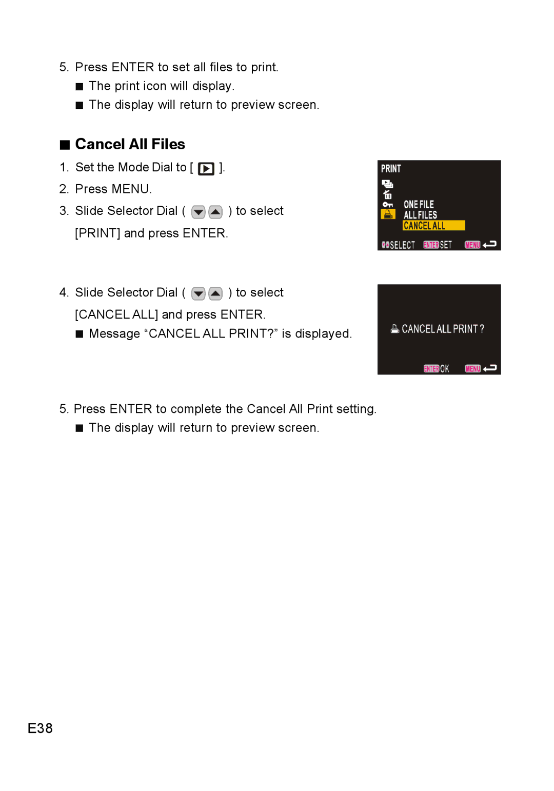 Concord Camera DV2020 manual „ Cancel All Files, E38 