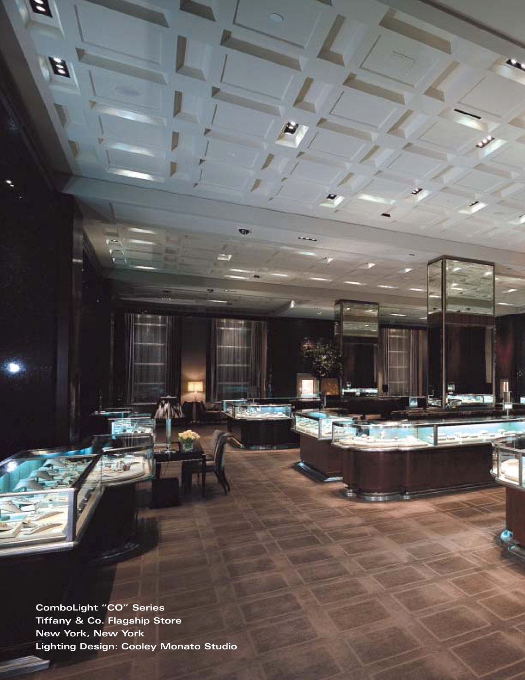 Cooper Lighting none manual ComboLight “CO” Series, Tiffany & Co. Flagship Store New York, New York 