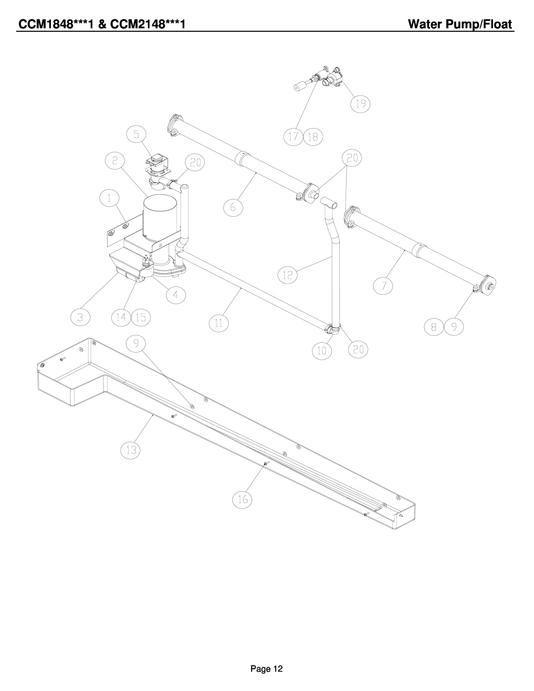 Cornelius ICE0320, ICE0520 manual Water Pump/Float, CCM1848***1 & CCM2148***1, Page 