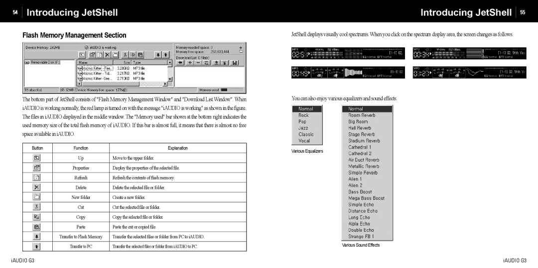 Cowon Systems iAUDIO G3 manual Flash Memory Management Section, You can also enjoy various equalizers and sound effects 