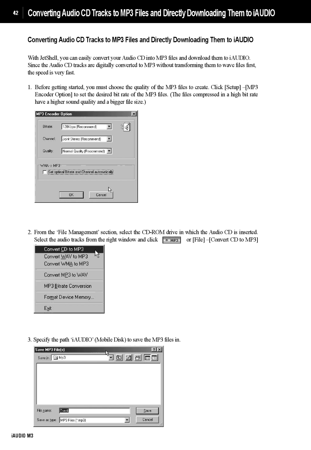 Cowon Systems manual IAUDIO M3 