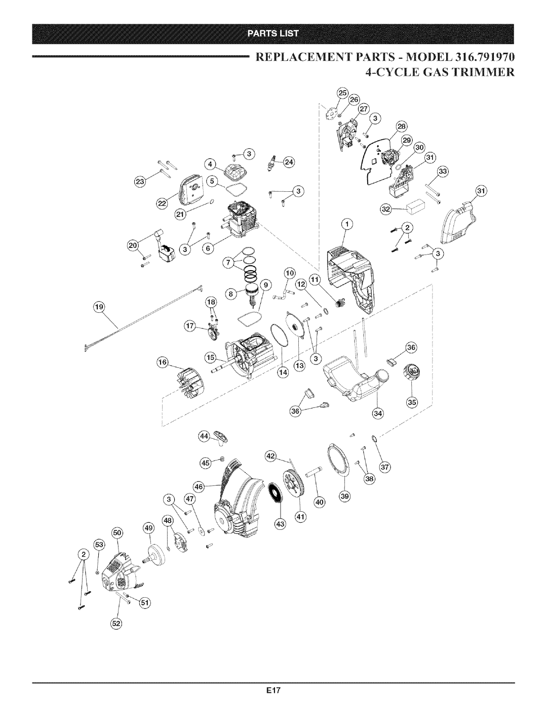 Craftsman 316.79197 manual E17 