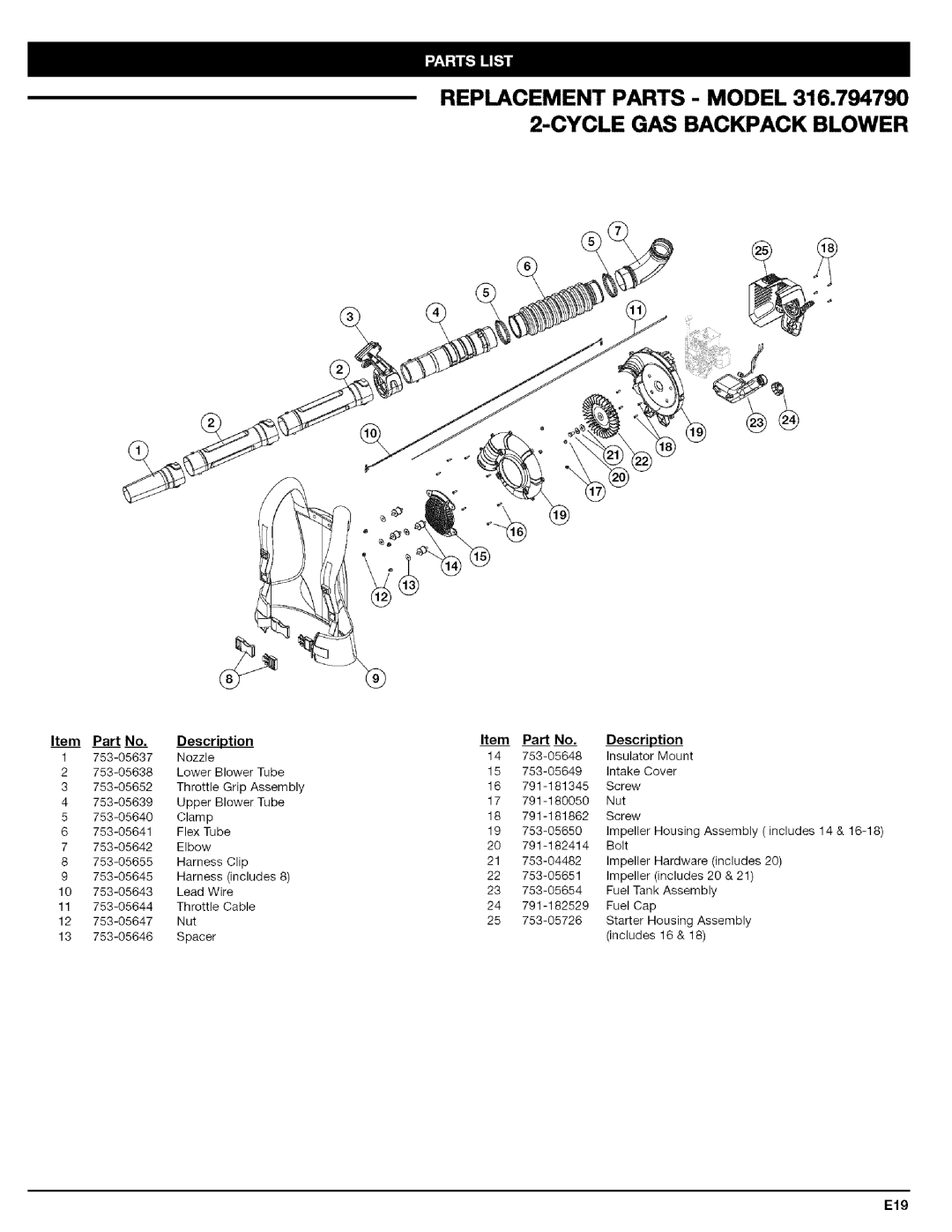 Craftsman 316.79479 manual E19 