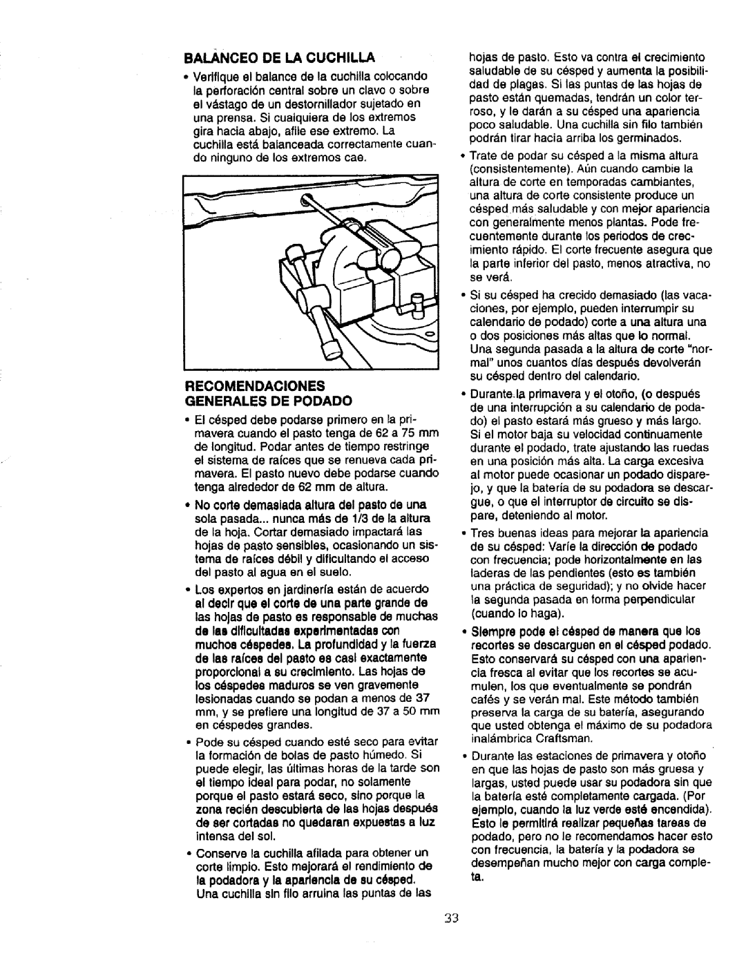 Craftsman 900.370520 manual Recomendaciones Generales De Podado 