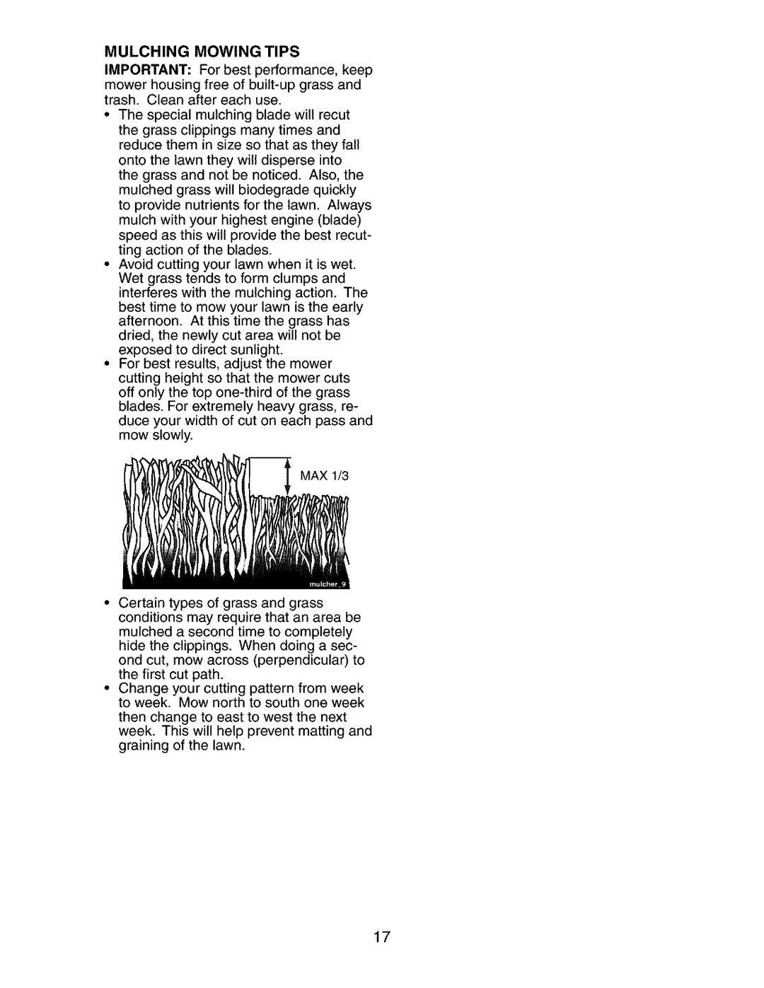 Craftsman 917.273401 owner manual Mulching Mowing Tips 