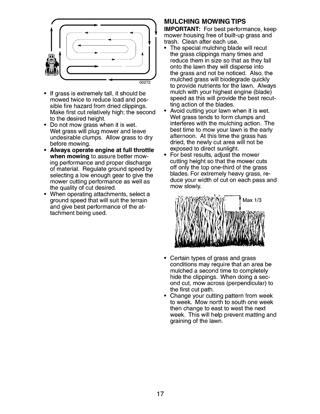 Craftsman 917.273481 manual Mulching Mowing Tips 