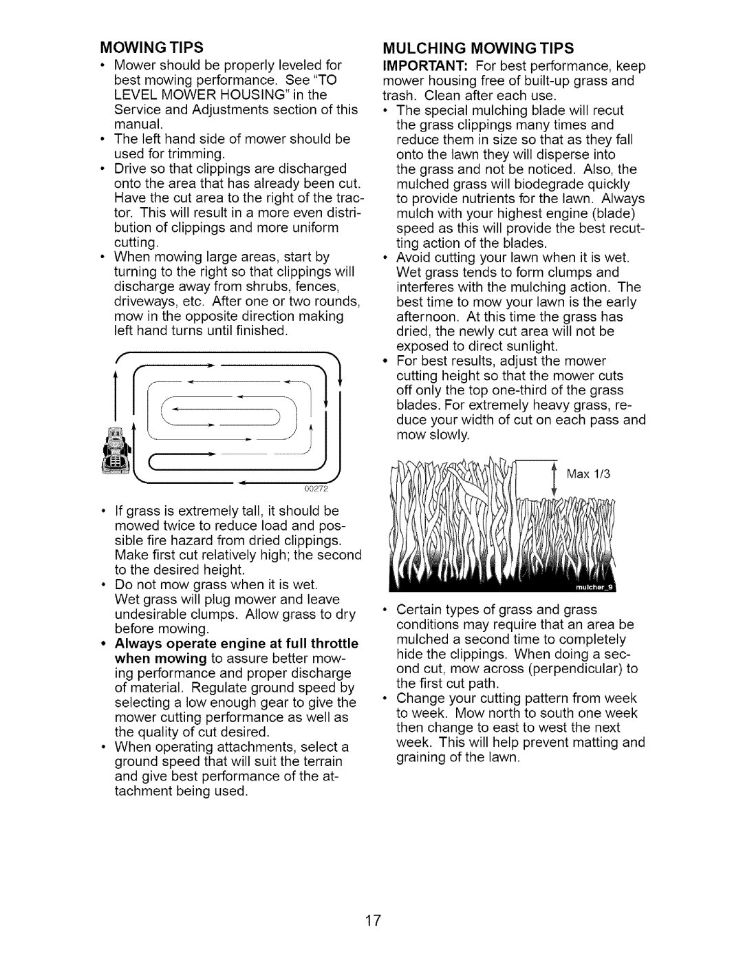 Craftsman 917.273642 manual Mulching Mowing Tips 