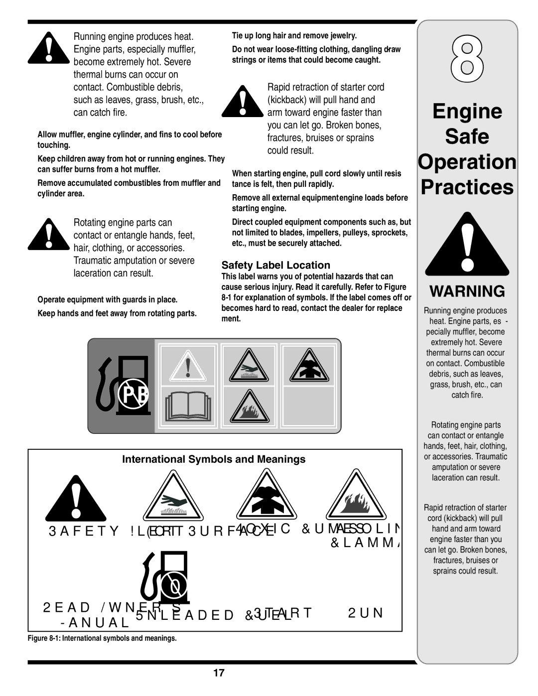 Cub Cadet 18M warranty Safety Label Location, International Symbols and Meanings, Running engine produces 