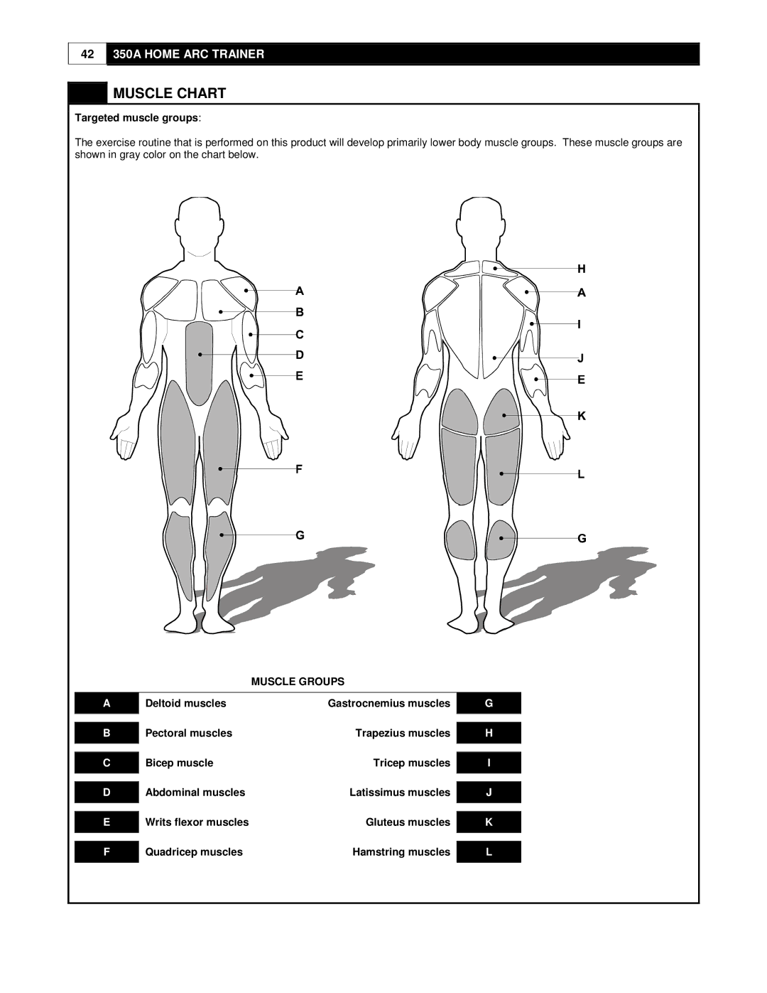 Cybex International 350A manual Muscle Chart, Targeted muscle groups, Gluteus muscles, Quadricep muscles Hamstring muscles 